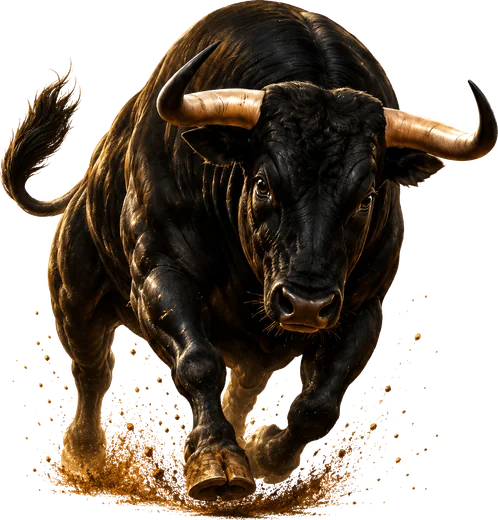 El Torero bullring gold coins and arena symbols