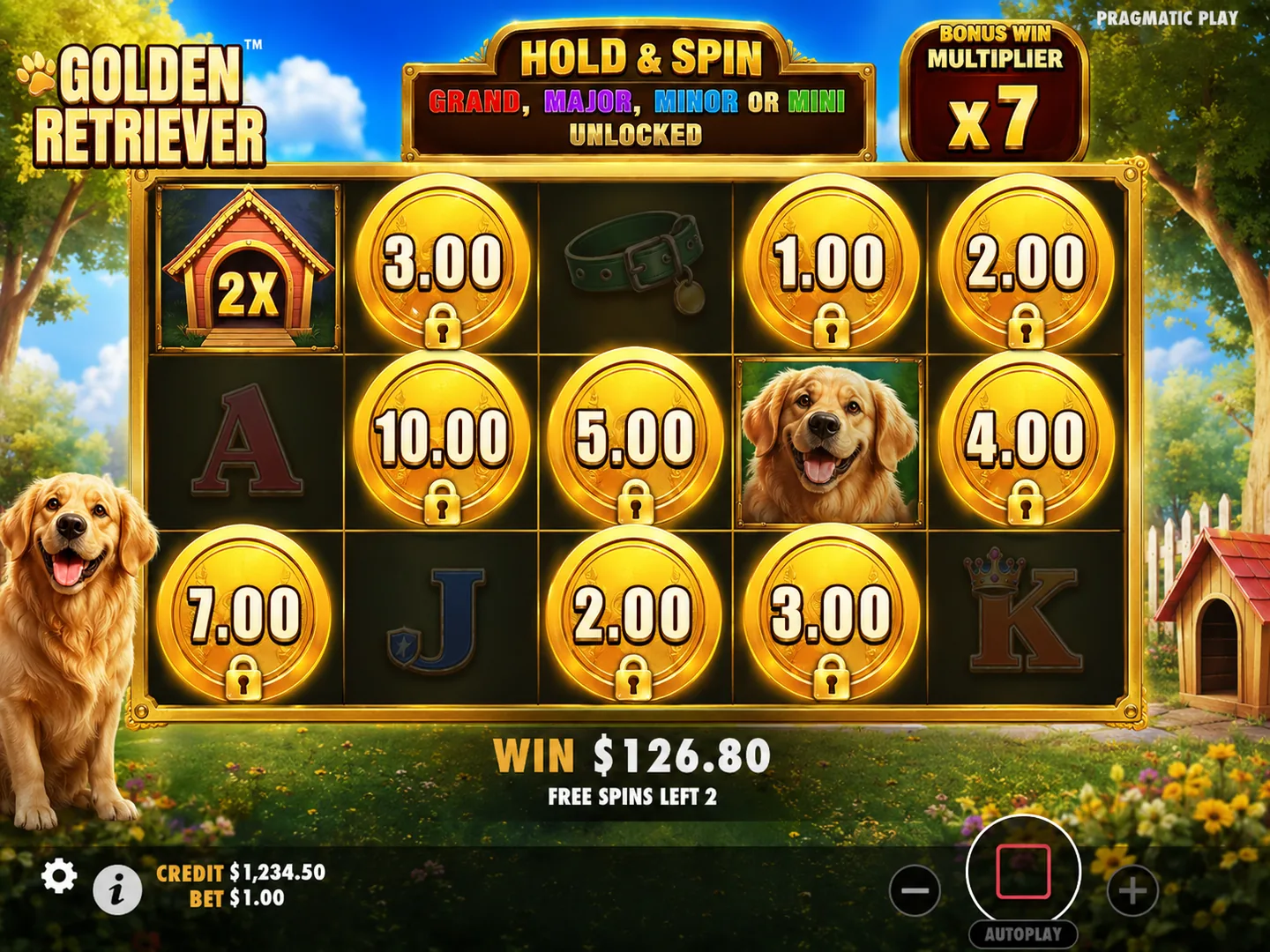 Golden Retriever Hold and Spin with locked coin values
