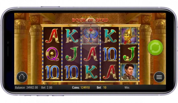 Book of Dead Screenshot mobil