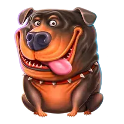 Sloto World France